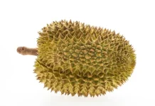 Durian Lokal atau Impor? Kenali Perbedaannya sebelum Membeli