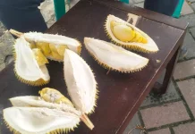 Sedang Diet, Bolehkah Tetap Makan Durian?