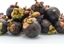 Buah Manggis, Si Ratu Buah dengan Segudang Manfaat bagi Kesehatan