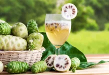 Olahan Buah Mengkudu: Cara Kreatif Mengonsumsi Herbal Alami yang Kaya Nutrisi