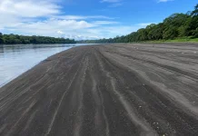 Pasir Hitam Sungai Digoel, Pesona Alam Musiman di Papua Selatan