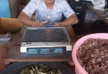 Sirih Mahal,Penikmat Pinang di Boven Digoel Mengeluh