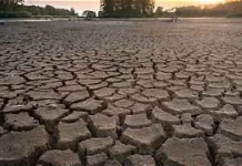 yang Perlu Dilakukan saat Menghadapi Musim Kemarau