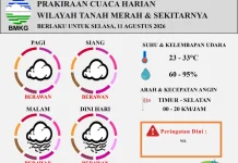 Prakiraan Cuaca Tanah Merah 11 Agustus, Berawan Sepanjang Hari