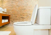 Mana yang Lebih Baik, Jongkok atau Duduk saat Buang Air Besar?