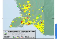 Hotspot: Pantauan Sebaran Titik Panas di Wilayah Boven Digoel Hari Ini