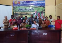 Budidaya Padi PM AAS Berpotensi Hasilkan 10 hingga 12 Ton