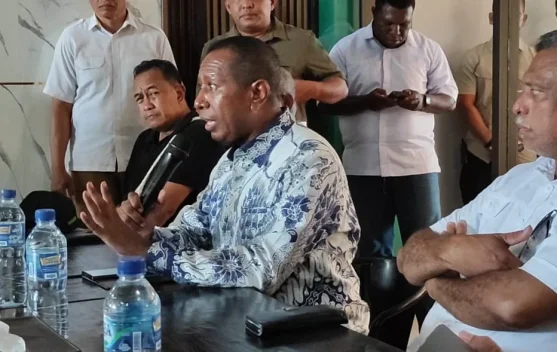 Pemprov Papua Selatan Anggarkan Bantuan Peralatan Puskesmas