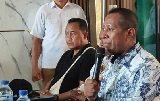 Pemprov Papua Selatan Anggarkan Bantuan Peralatan Puskesmas