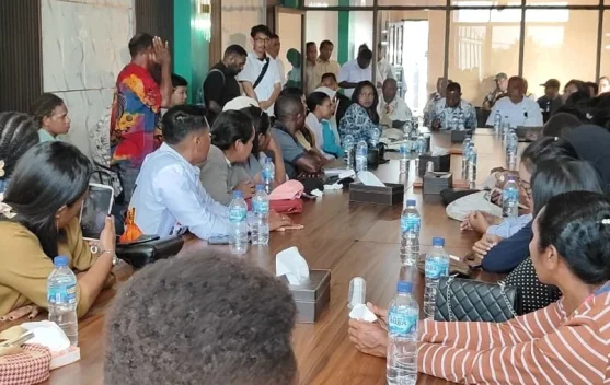 Pemprov Papua Selatan Usulkan Solar Cell untuk Kampung tanpa Listrik