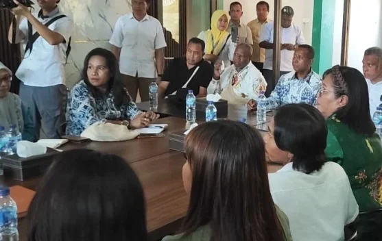 Pemprov Papua Selatan Percepat Pendataan Program Energi Desa