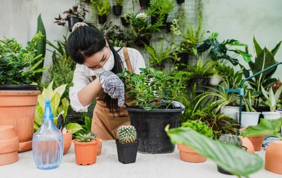 Manfaat Berkebun di Rumah untuk Kesehatan Mental dan Fisik