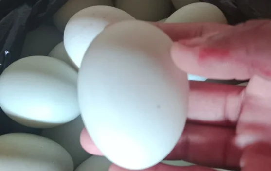 Ragam Kudapan dari Telur Asin