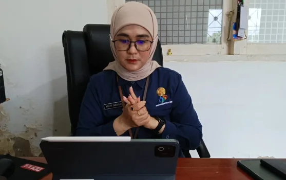 Program Satu Data Indonesia Perkuat Tata Kelola Data hingga Daerah