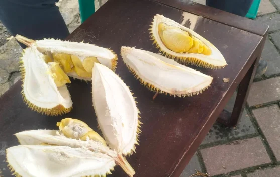 Sedang Diet, Bolehkah Tetap Makan Durian?