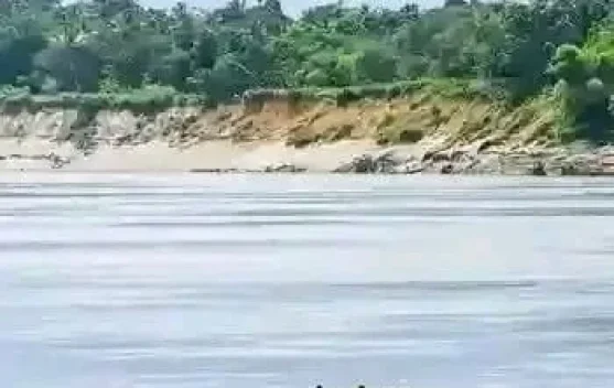 Perahu Dayung, Cara Hidup yang Tetap Bertahan di Sungai Digoel