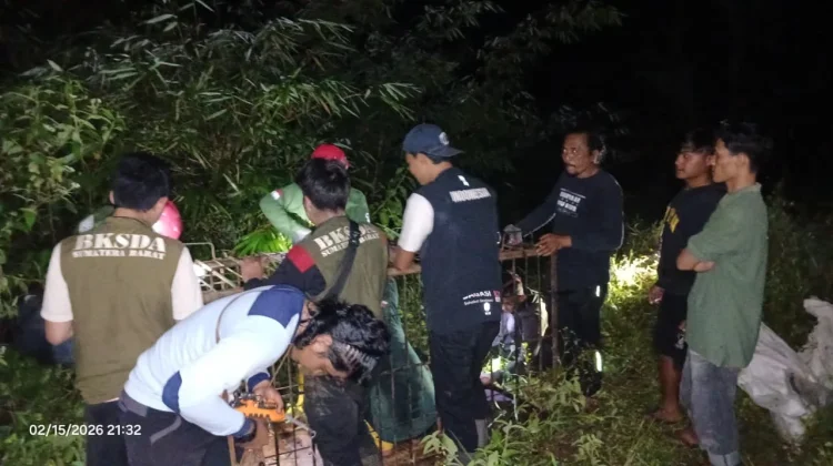 Patroli Intensif Redam Interaksi Negatif Beruang Madu