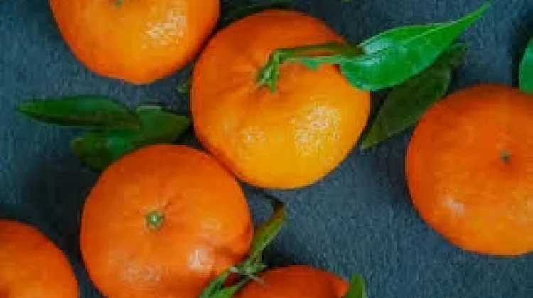 Jeruk Mandarin, Simbol Keberuntungan dalam Tradisi Imlek