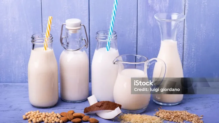Berbagai Susu untuk Asam Lambung