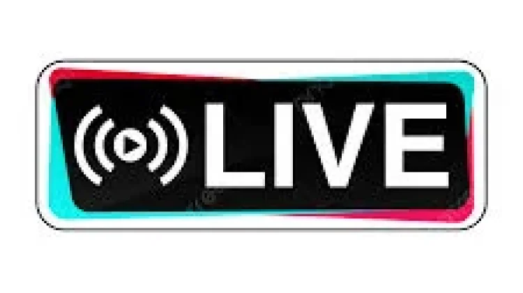 Cara Menghasilkan Uang lewat Live TikTok