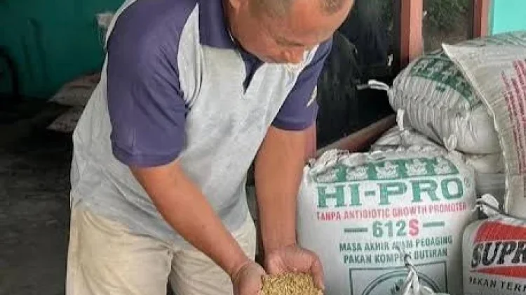 Petani Pasaman Barat Apresiasi Bulog Mampu Jaga Stabilitas Harga Panen