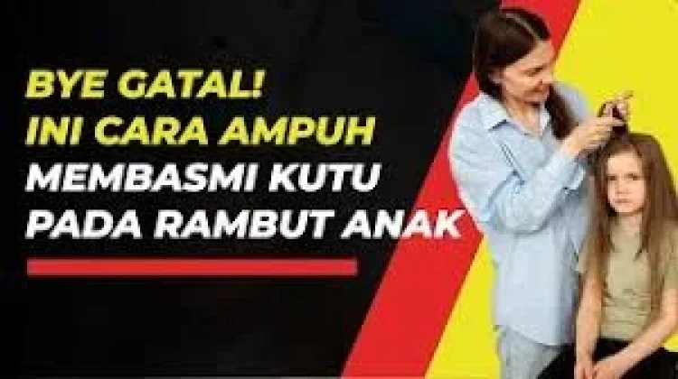 Cara Menghilagkan Kutu pada Rambut Anak