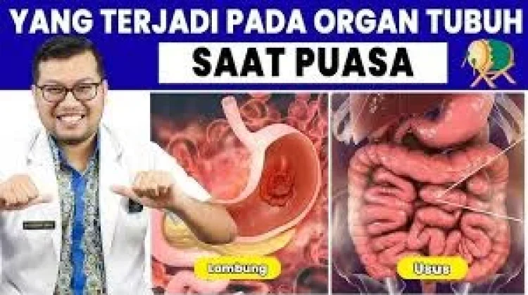 Kondisi Tubuh Manusia saat Menjalankan Ibadah Puasa