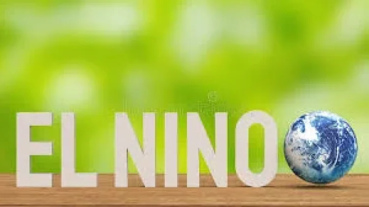 Godzilla El Nino Mengancam, Kekeringan Panjang Segera Datang