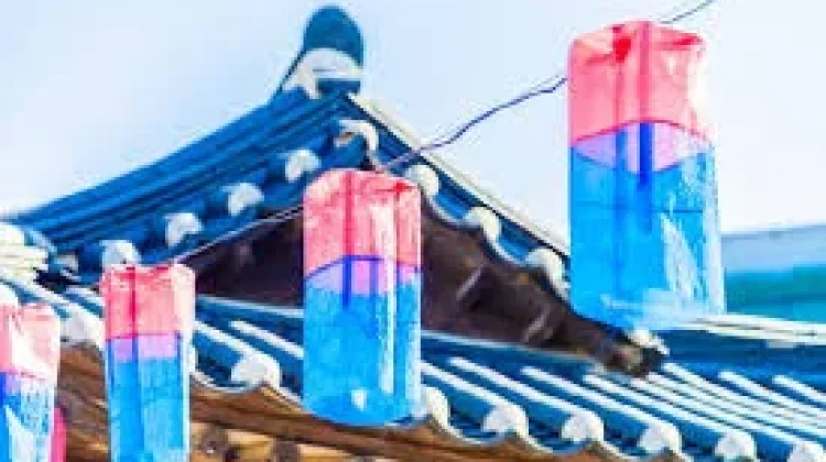Bawa Pulang Oleh-Oleh Korea, Dijamin Bikin Penasaran
