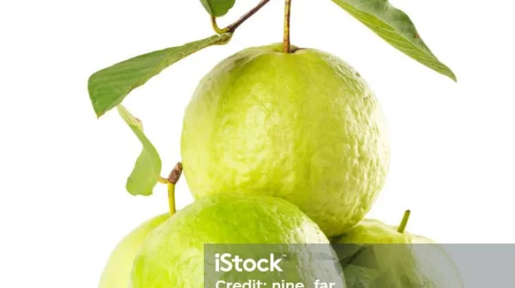 Manfaat Jambu Kristal untuk Kesehatan