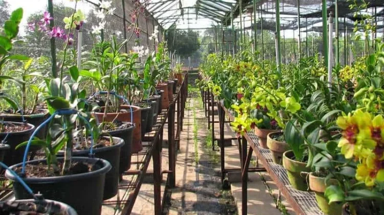 Eco-Living, "Tren Ramah Lingkungan yang Lebih dari Sekadar Gaya Hidup"