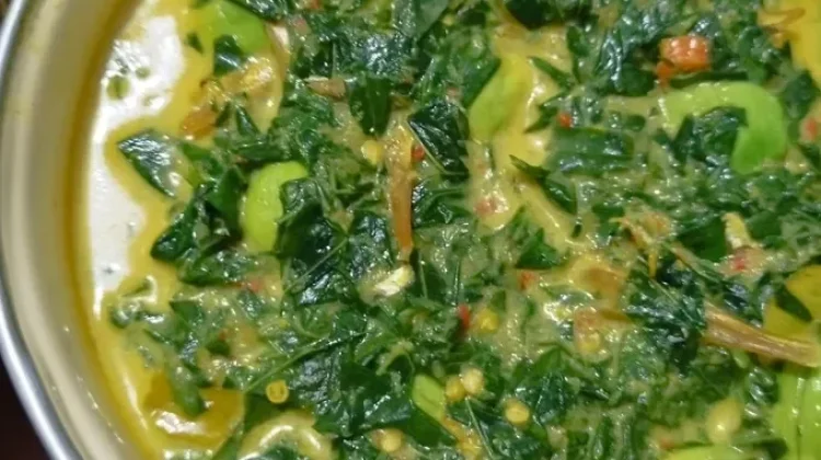 gulai-patai-campua-pucuak-ubi-patai-teri-yang-kaya-rempah-rri-co-id