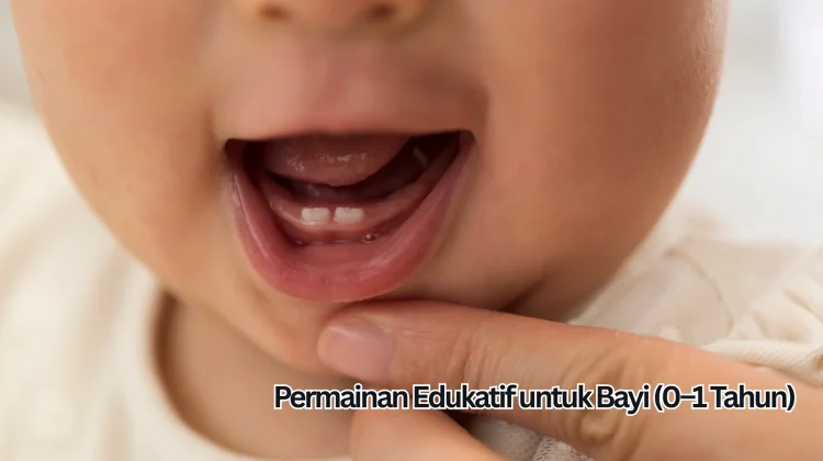 Permainan Edukatif untuk Bayi (0–1 Tahun)