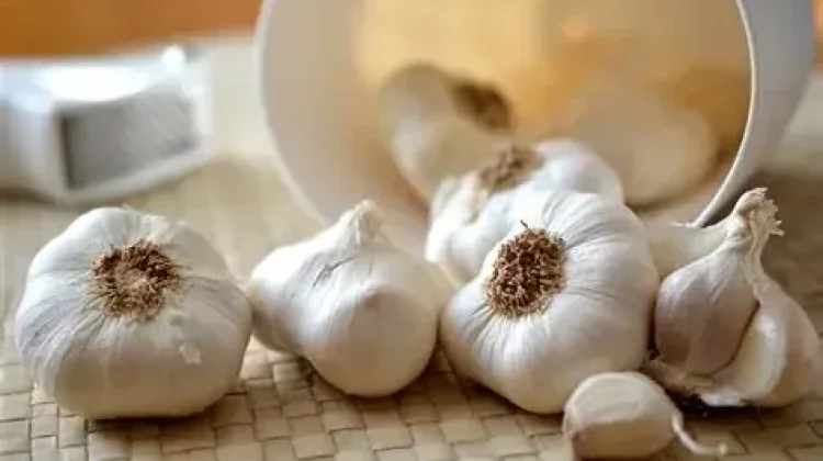 Murah tapi Powerful! Ini Manfaat Bawang Putih
