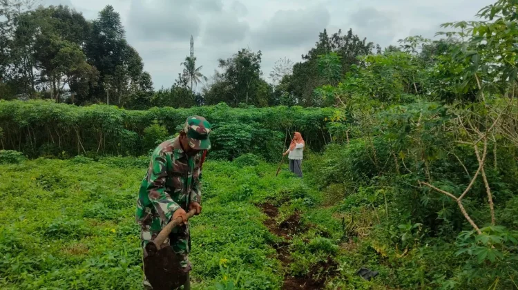 Babinsa Koramil 02/Pangkalan Kembangkan Prajurit Produktif Sangat Sukses Sekali