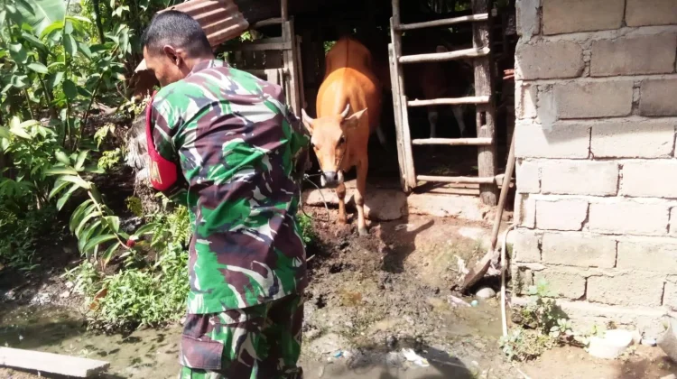 Serka Iriadi Koramil 02/Pangkalan Wujudkan Program Prajurit Produktif