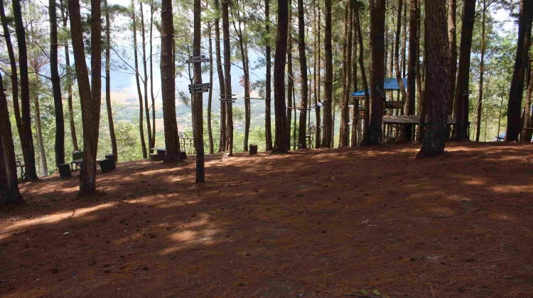 Puncak Koto Panjang Tawarkan Panorama Alam Wisata Keluarga