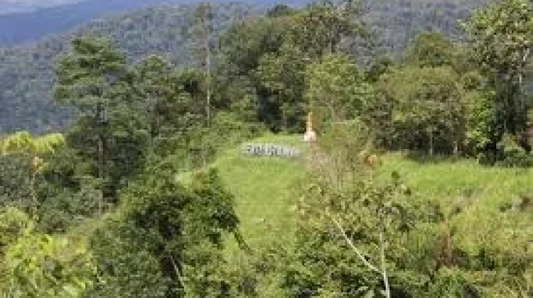 Benteng Bukit Tajadi Pasaman Saksi Perjuangan Tuanku Imam Bonjol