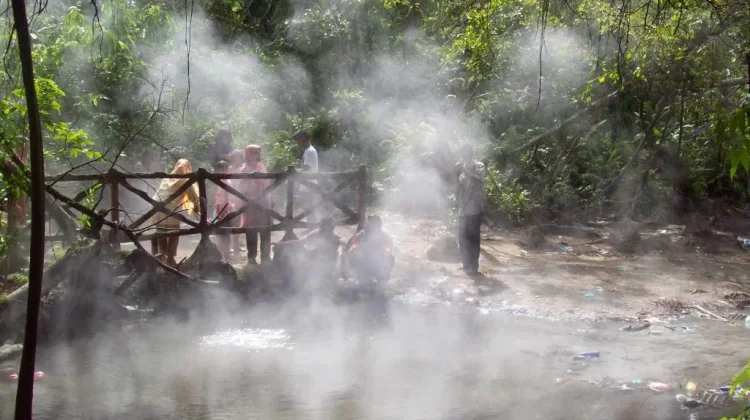 Rimbo Panti Pasaman Tawarkan Wisata Alam Satwa Langka