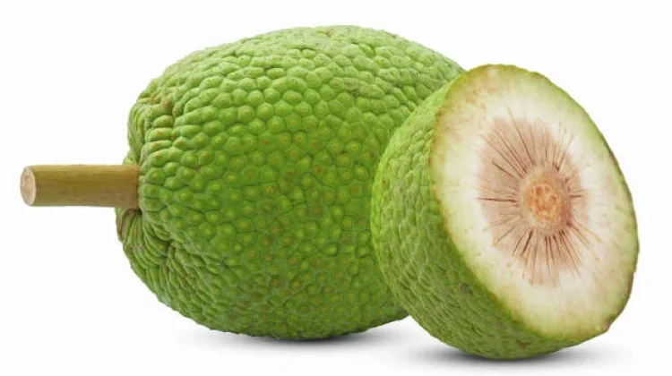Beragam Manfaat Buah Sukun bagi Kesehatan