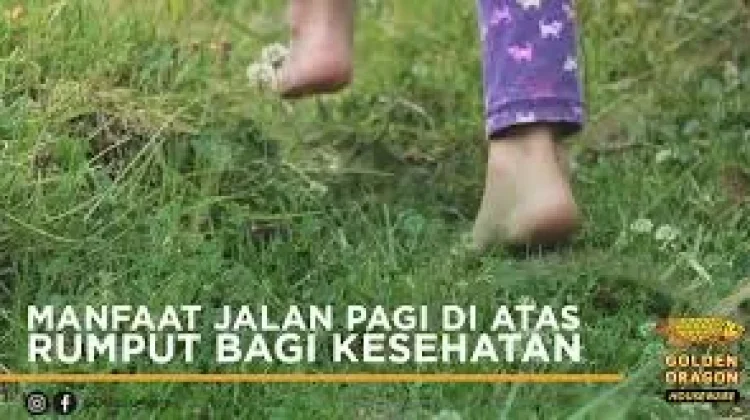 Ini Manfaat Jalan tanpa Alas Kaki di atas Rumput