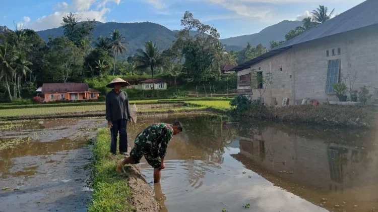 Babinsa Koramil 08/Akabiluru Siapkan Lahan