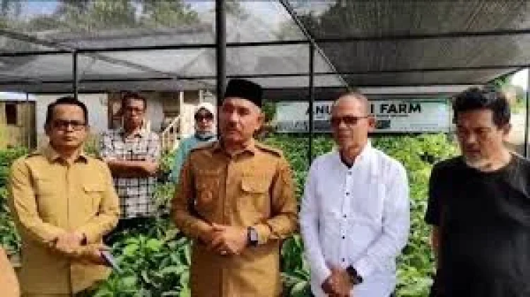 Bupati Safni Dukung Pengembangan Bibit Alpukat