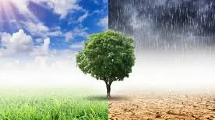 Tips Menjaga Kesehatan saat Cuaca Tak Menentu