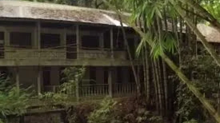 Misteri di tengah Hutan yang Viral di Lampung