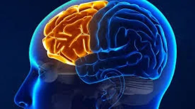 Tips Meningkatkan Daya Ingat, dan Terhindar dari Mudah Lupa