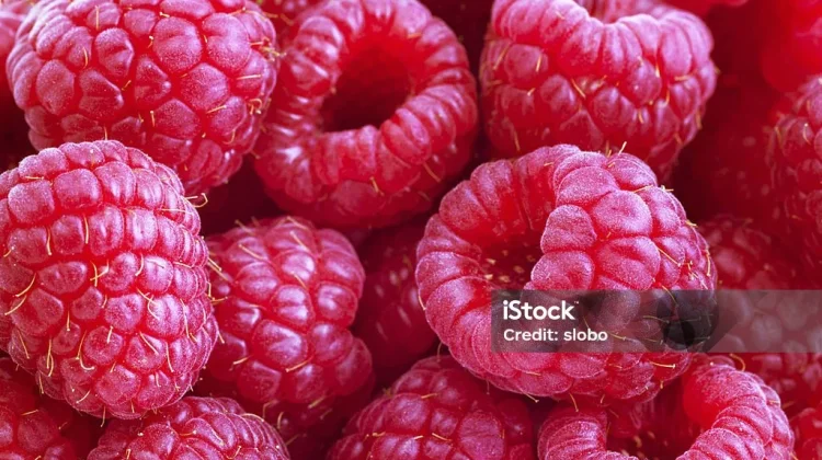 Rahasia Kesehatan Tersembunyi dalam Buah Raspberry