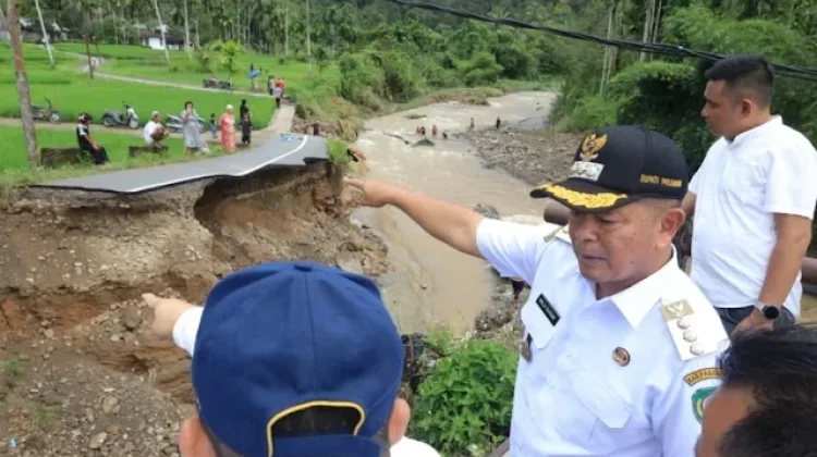 Turun ke Lapangan, Bupati Pasaman Tinjau Banjir Simpang Alahan Mati