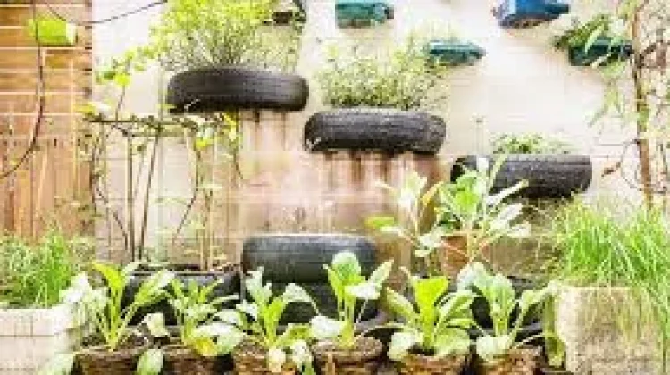 Urban Gardening di Rumah, Kenapa Tidak?