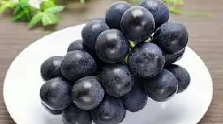Mengenal Nagano Grape, Anggur Jepang Kelas Dunia